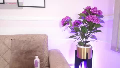 Ana online show from December 18, 2025, 12:11 pm