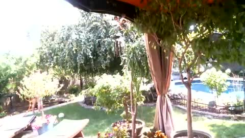 anoaklawnguy online show from July 26, 2026, 3:30 pm
