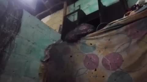 anonimode18cm1 online show from March 19, 2026, 3:54 am