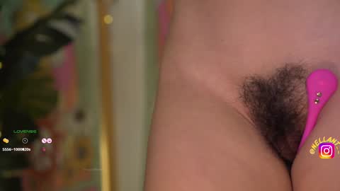 Nell. online show from December 16, 2024, 9:35 am