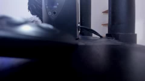 Snapshot of antonellasmith0 chatting on October 15, 2025, 1:22 pm ANTO online show from October 15, 2025, 1:22 pm