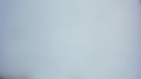 A N T O N E L L E  online show from January 12, 2025, 2:19 pm