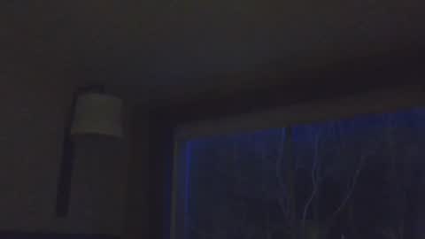 Daddy online show from November 15, 2025, 2:31 am