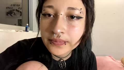 aoi_dandelion online show from December 29, 2024, 12:52 am