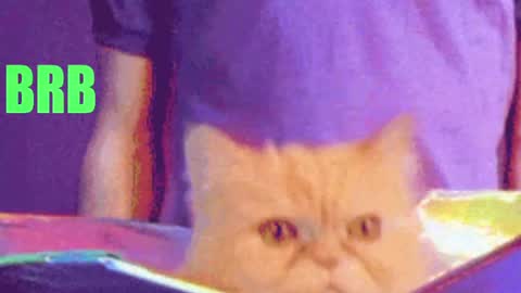 aprill_o_nill online show from April 17, 2026, 3:26 pm