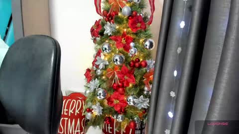 Snapshot of aprilpalmers chatting on December 18, 2024, 4:06 pm Danna online show from December 18, 2024, 4:06 pm