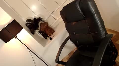 Snapshot of arabella_califa chatting on April 1, 2026, 2:12 am ARABELLA online show from April 1, 2026, 2:12 am