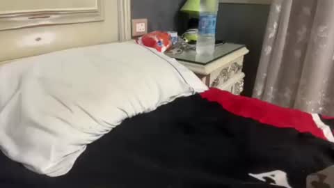 Egyptian Man online show from January 29, 2025, 1:05 am