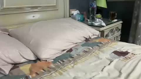 Egyptian Man online show from September 23, 2025, 12:13 am