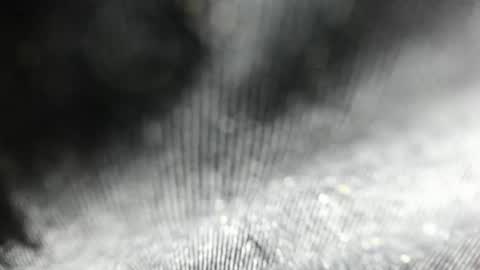Snapshot of arantza_hill chatting on June 17, 2026, 8:21 pm Arantza Hill online show from June 17, 2026, 8:21 pm