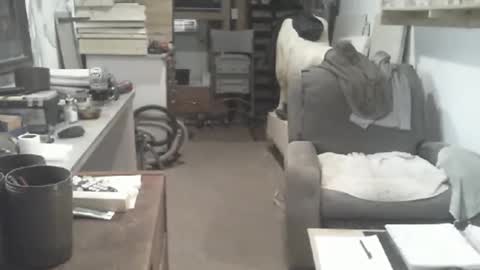 arealshowoff online show from April 16, 2026, 3:24 pm