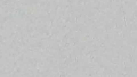 Ari online show from June 27, 2026, 11:37 am