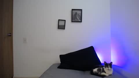  777 online show from December 19, 2024, 5:40 am