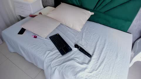 Snapshot of ariana_ceballos chatting on January 28, 2025, 2:42 pm ARIANA online show from January 28, 2025, 2:42 pm