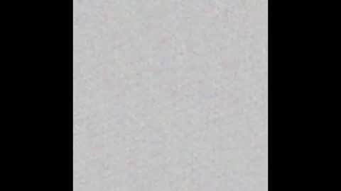 Arianna Collins online show from October 9, 2025, 11:41 am