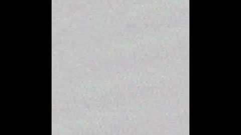 Arianna Collins online show from November 5, 2025, 11:21 am