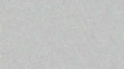 Arianna Collins online show from March 31, 2026, 11:21 am