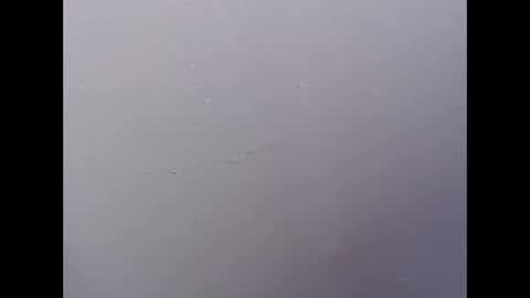 Snapshot of ariannaloovel chatting on April 27, 2026, 5:55 pm ariannaloovel online show from April 27, 2026, 5:55 pm