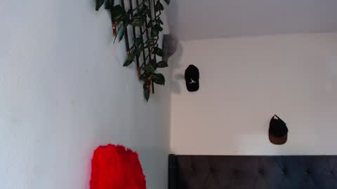Snapshot of arielbronwxxx chatting on January 29, 2025, 7:11 pm chris online show from January 29, 2025, 7:11 pm