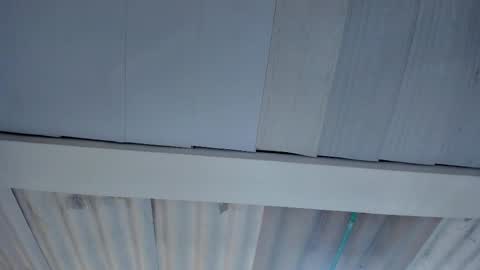 FENIX online show from October 15, 2025, 1:06 am