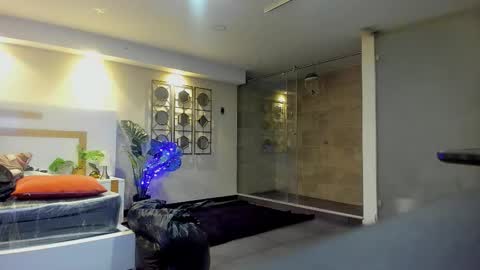 PAO   online show from December 23, 2025, 8:56 am