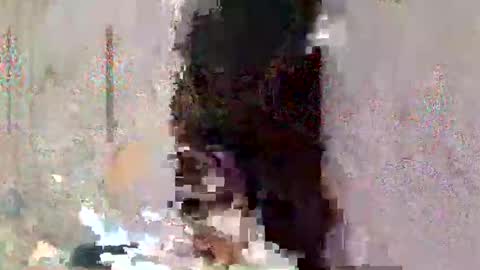 asian_cummer7 online show from April 2, 2026, 2:26 pm