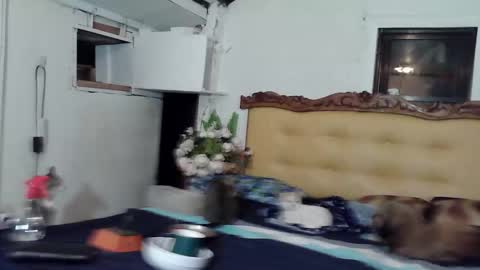 asianladyboy888 online show from February 22, 2026, 4:05 pm