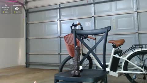 Anne online show from December 15, 2025, 3:55 am