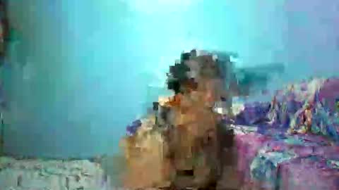 ann online show from April 26, 2026, 4:26 pm