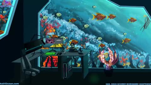 Asiri   pronounced Ah-siri Please no nicknames   3 online show from January 18, 2026, 5:28 pm