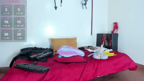 Aurora online show from February 25, 2026, 11:42 am