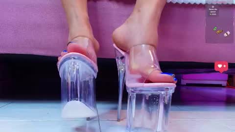 Aurora online show from January 16, 2026, 1:37 pm