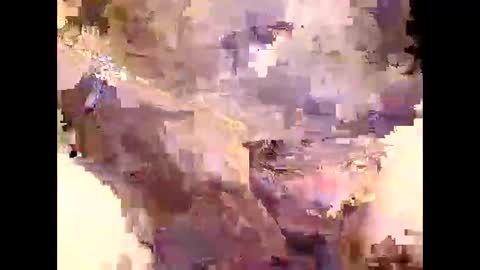 aushsi25 online show from December 16, 2025, 1:49 pm