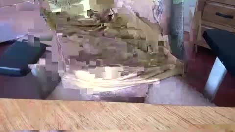 Rich online show from March 5, 2025, 5:07 am