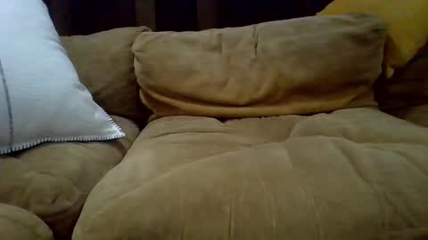 Snapshot of averagecock696969 chatting on February 23, 2025, 6:17 am averagecock696969 online show from February 23, 2025, 6:17 am