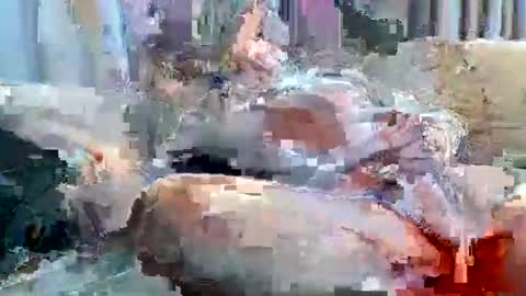 averagejoe2025 online show from November 18, 2025, 1:22 am