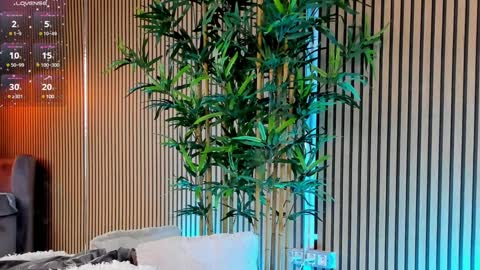 AVRILL CYRUX online show from January 28, 2025, 11:49 am