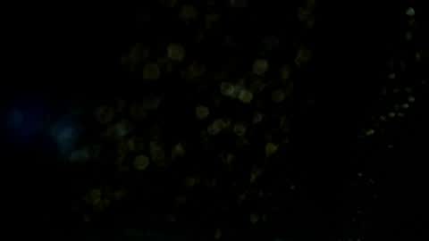 Snapshot of axell_cross2 chatting on July 9, 2026, 4:38 am Axell Cross2 online show from July 9, 2026, 4:38 am