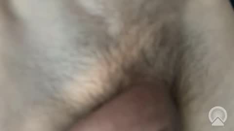 b6662050 online show from May 9, 2026, 8:52 am