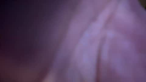 Snapshot of baby_buddha chatting on January 29, 2025, 1:28 pm baby buddha online show from January 29, 2025, 1:28 pm