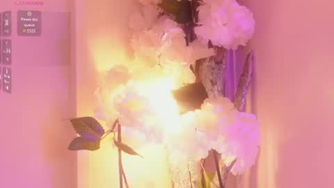 Baby june online show from June 14, 2026, 3:52 am