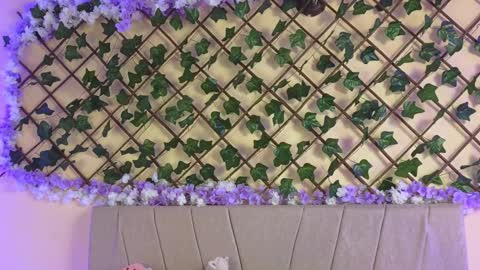 Snapshot of baby_xian chatting on December 19, 2024, 2:45 am  Dani  online show from December 19, 2024, 2:45 am