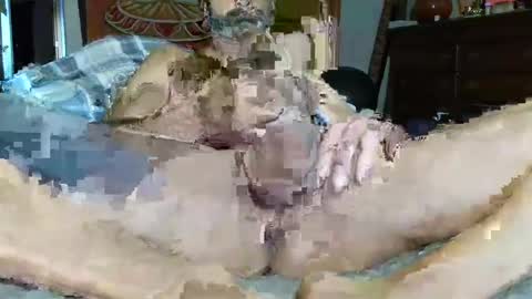 Poindexxxter online show from December 16, 2024, 3:00 pm