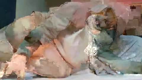 Poindexxxter online show from February 20, 2025, 7:08 pm