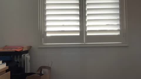 Snapshot of babychinoo chatting on August 8, 2026, 6:59 am bcin online show from August 8, 2026, 6:59 am