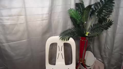 Nexie online show from October 9, 2025, 2:53 am