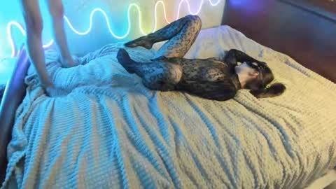 bada_b1ng online show from December 7, 2024, 2:35 pm