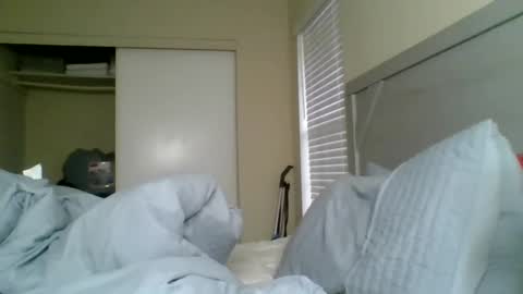 Badgirlbritt your favorite girl  online show from February 12, 2025, 8:50 pm