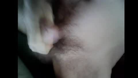 Baghira online show from December 14, 2025, 10:42 am