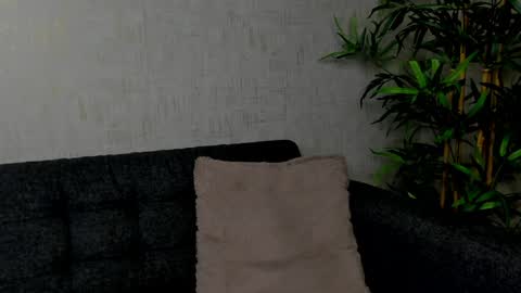 Snapshot of bailey_rush chatting on December 24, 2024, 9:00 pm bailey_rush online show from December 24, 2024, 9:00 pm